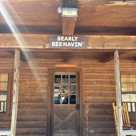 Honeycomb Hideouts Bearly Beehavin Cabin